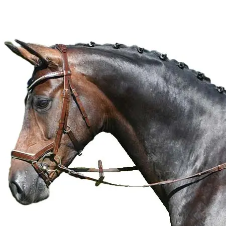 ブッセ(BUSSE) 乗馬 頭絡 MODENA