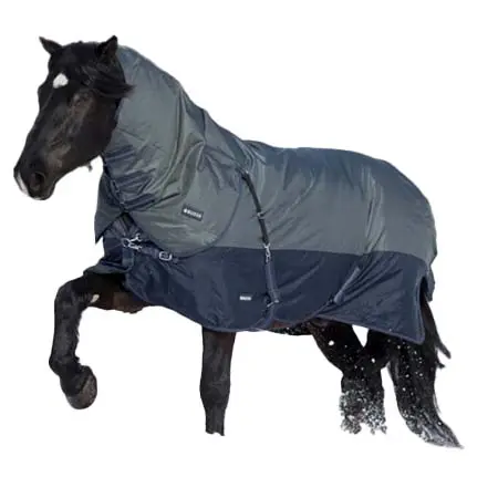 ブッセ(BUSSE) 乗馬 馬着 アウトドアラグ アクティブプロ 150