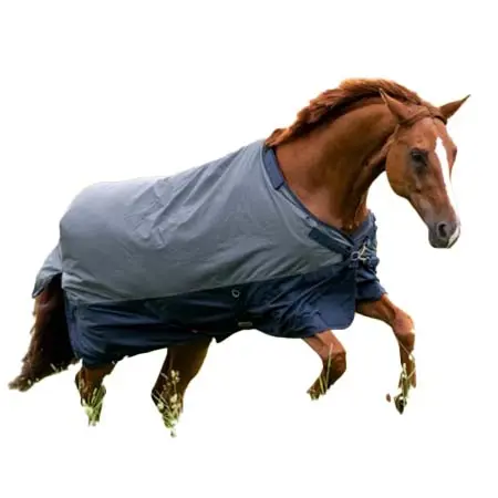 ブッセ(BUSSE) 乗馬 馬着 アウトドアラグ アクティブプロ 50