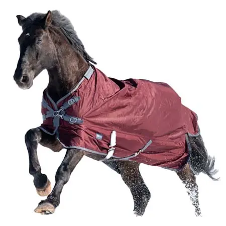ブッセ(BUSSE) 乗馬 馬着 アウトドアラグ フレキシブルプロ 100