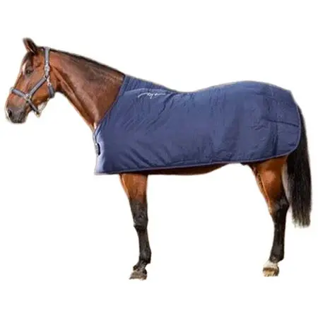 ディオン(Dy’on) 乗馬 馬着 Under Rug
