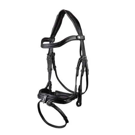 エコライダー(Ecorider) 乗馬 頭絡 Kilkenny v2.0 Bridle Black