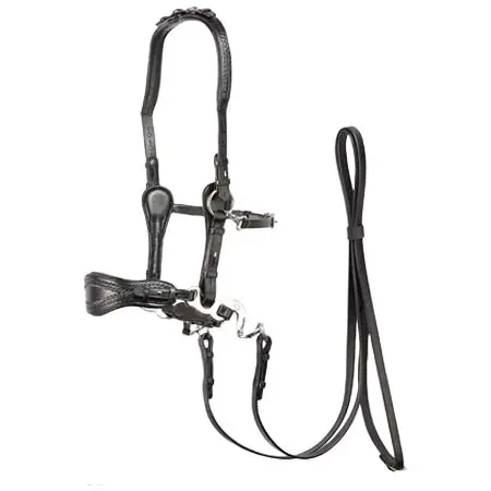 エディックスサドルズ(Edix Saddles) 乗馬 頭絡 ED4 Hackamore bridle, model Jazz