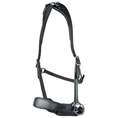 エディックスサドルズ(Edix Saddles) 乗馬 頭絡 ED2 Grace, sidepull bridle