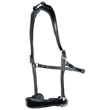 エディックスサドルズ(Edix Saddles) 乗馬 頭絡 ED2 Nyra, sidepull bridle