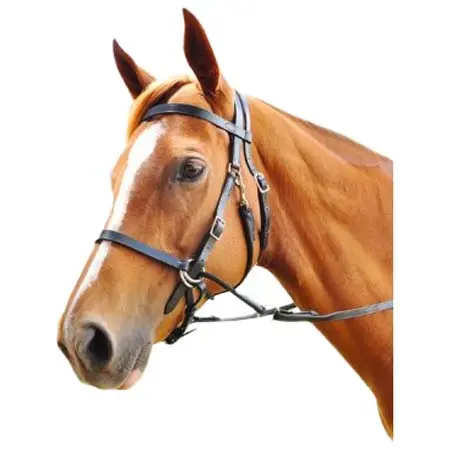 エンツォ(Enzo) 乗馬 頭絡 Bitless Bridle