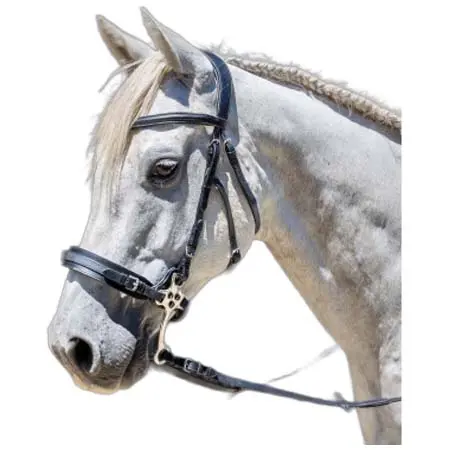 エンツォ(Enzo) 乗馬 頭絡 Cento Hackamore Bridle
