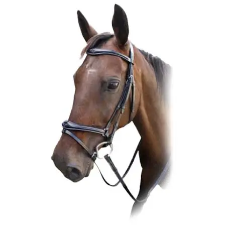 エンツォ(Enzo) 乗馬 頭絡 Comfort + Bridle