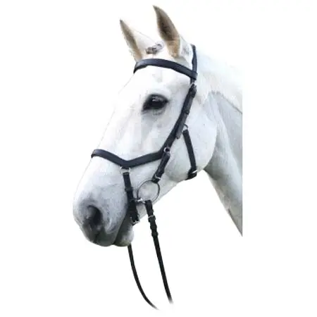 エンツォ(Enzo) 乗馬 頭絡 Competition Bridle