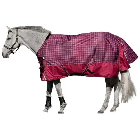 エクイナヴィア(Equinavia) 乗馬 馬着 Arktis Regular Neck Mid Weight Turnout Blanket 200g