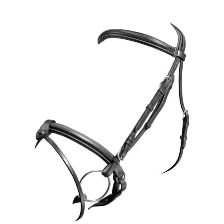 エキップ(Equipe) 乗馬 頭絡 Emporio Crank Noseband Removable Flash Bridle – Black/Silver
