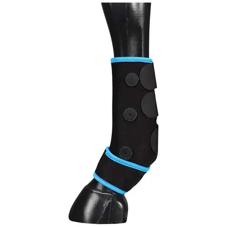 エクイプレーン(Equi-Prene) 乗馬 馬用プロテクター Magnetic Sports Boots
