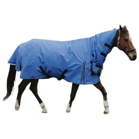 エクイテーム(Equitheme) 乗馬 馬着 Aisance Combo 1200D horse turnout rug 300g