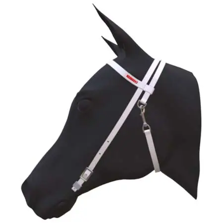 エクイタイム(Equitime) 乗馬 頭絡 Fly Model bridle
