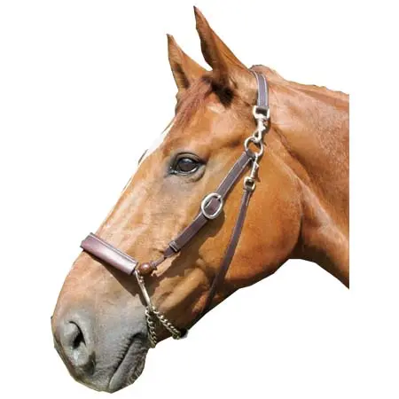 エリック・ル・ティクスラン(Eric Le Tixerant) 乗馬 頭絡 Equi Halter Eric Le Tixerant