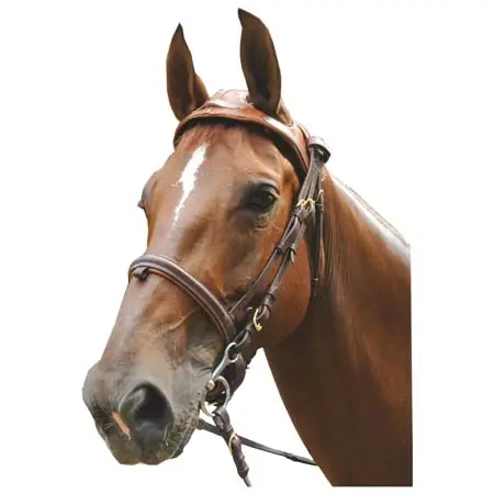 エリック・ル・ティクスラン(Eric Le Tixerant) 乗馬 頭絡 Eric Le Tixerant HEADSET
