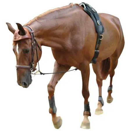 エリック・ル・ティクスラン(Eric Le Tixerant) 乗馬 頭絡 Equilunge Eric Le Tixerant