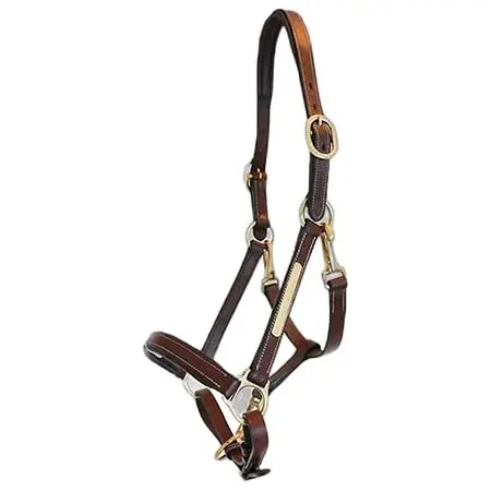 エリックトーマス(Eric Thomas) 乗馬 頭絡 Grooming Leather halter