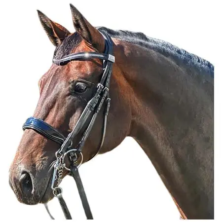 フェアファクス(Fairfax) 乗馬 頭絡 Complete Fairfax Double Bridle with Patent Cavesson Noseband and Browband