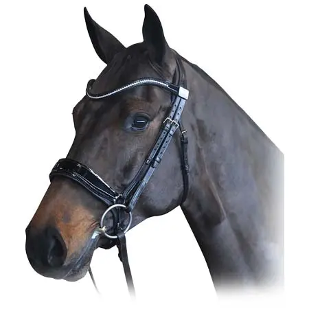 フェアファクス(Fairfax) 乗馬 頭絡 Complete Fairfax Snaffle Bridle with Patent Cavesson Noseband and Browband