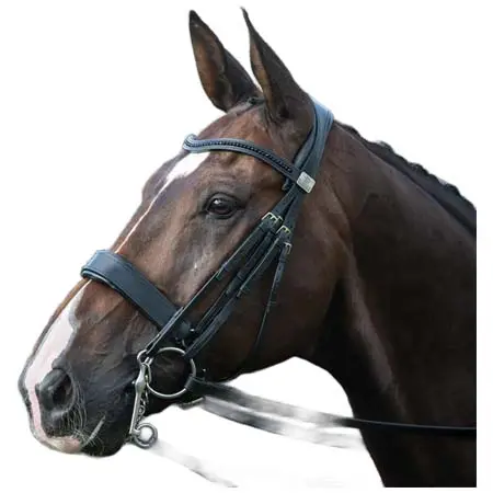 フェアファクス(Fairfax) 乗馬 頭絡 Complete Fairfax Double Bridle with Cavesson Noseband