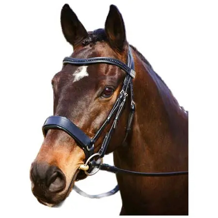 フェアファクス(Fairfax) 乗馬 頭絡 Complete Fairfax Snaffle Bridle with Cavesson Noseband
