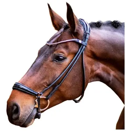 フィネス(Finesse) 乗馬 頭絡 Spirit Rolled Drop Noseband Bridle – Black/Patent