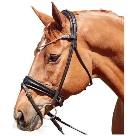 フィネス(Finesse) 乗馬 頭絡 Cassidy Rolled Padded Flash Bridle – Black/Patent/Gold