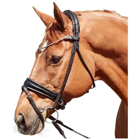 フィネス(Finesse) 乗馬 頭絡 Cassidy Rolled Padded Flash Bridle – Black/Patent/Silver – TRIAL