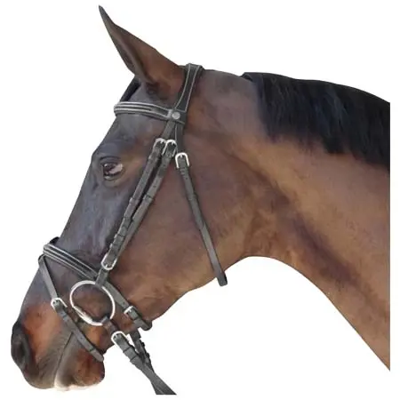 フラッグスアンドカップ(Flags&Cup) 乗馬 頭絡 Riding bridles Flags&Cup Madrid