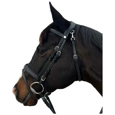 フラッグスアンドカップ(Flags&Cup) 乗馬 頭絡 Bridles for horses Flags&Cup New York
