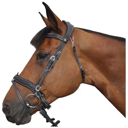 フラッグスアンドカップ(Flags&Cup) 乗馬 頭絡 Combined riding bridles Flags&Cup Comfort
