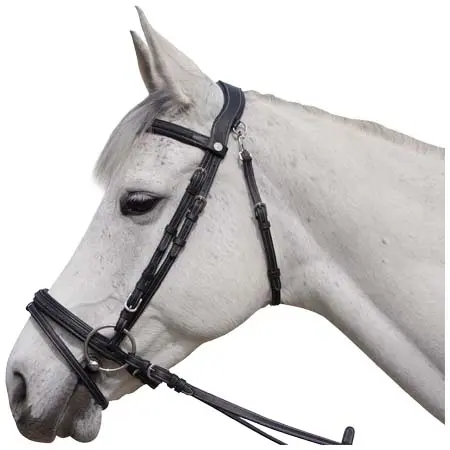 フラッグスアンドカップ(Flags&Cup) 乗馬 頭絡 Bridles for horses Flags&Cup Aachen