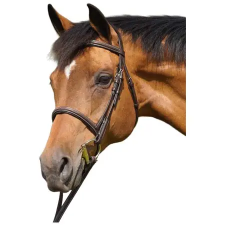 フレックスライダー(Flex Rider) 乗馬 頭絡 Fancy Stitched Raised Snaffle Hunter Bridle