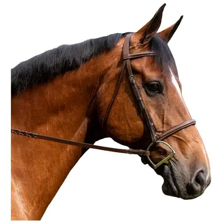 フレックスライダー(Flex Rider) 乗馬 頭絡 Plain Raised Snaffle Bridle