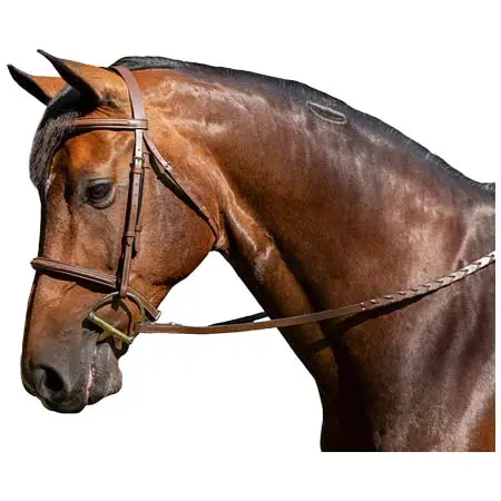 フレックスライダー(Flex Rider) 乗馬 頭絡 Fancy Stitched Raised Snaffle Bridle
