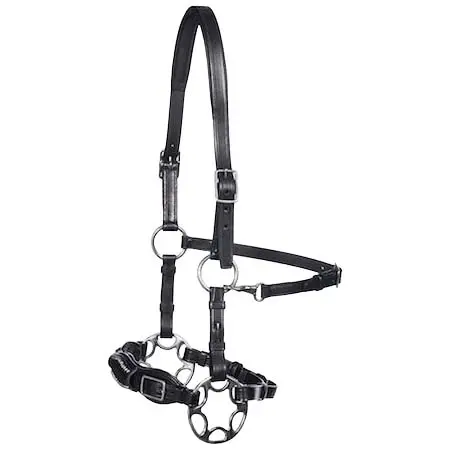 F.R.A.(エフアールエー) 乗馬 頭絡 Hackamore Bridle Miranti