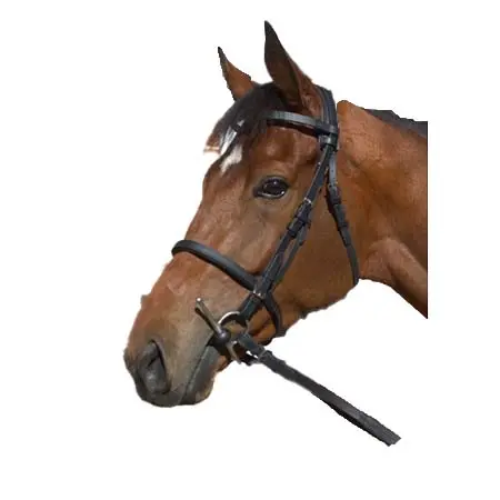 ギブソンサドラーズ(Gibson Saddlers) 乗馬 頭絡 バイオセインブライドル