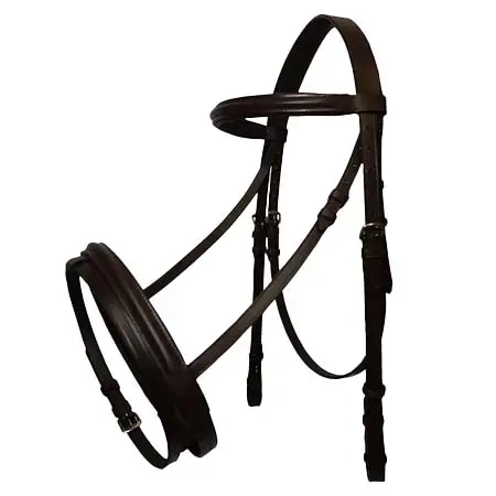 ジーエスエクエストリアン(GS Equestrian) 乗馬 頭絡 馬術パッド入りフラッシュブライドル