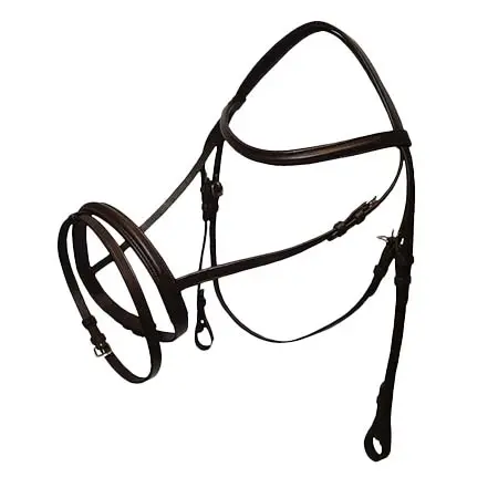 ジーエスエクエストリアン(GS Equestrian) 乗馬 頭絡 Economical Flash Bridle
