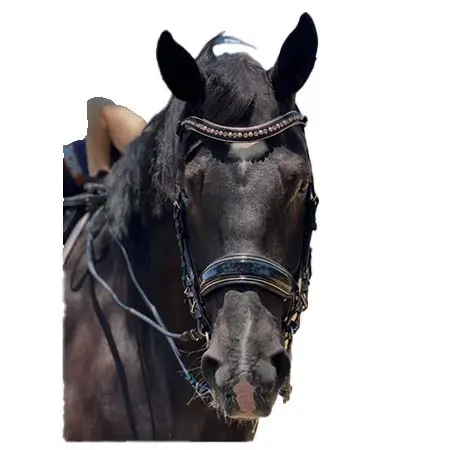 ホルターエゴ(Halter Ego) 乗馬 頭絡 オーレリア ローズゴールド ブラック パテント ダブルブライドル