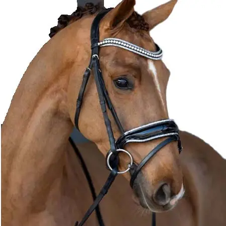 エイチビーロイタースポーツ(HB Ruitersport) 乗馬 頭絡 ブライドル ショータイム イッツ ソー スペシャル
