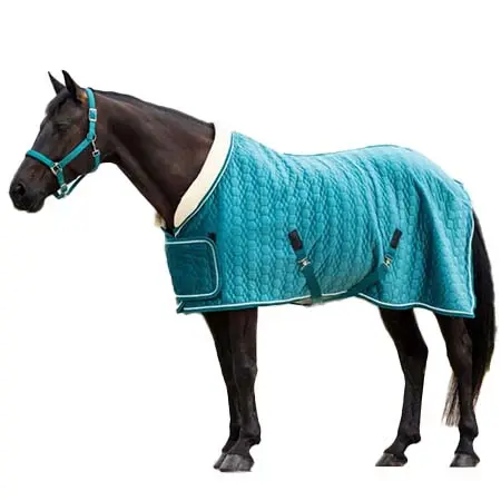 エイチビーロイタースポーツ(HB Ruitersport) 乗馬 馬着 ショータイム ショーラグ トロピカル スマラグド