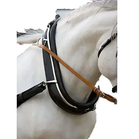 ヒスパノイピカ(Hispano Hipica) 乗馬 頭絡 ドライビングカラーブライドル