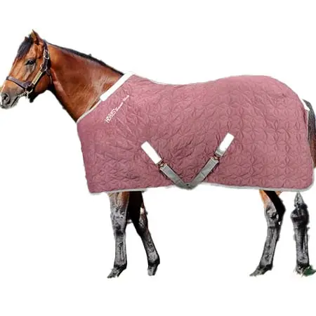 ホース(Horses) 乗馬 馬着 クアザール ベルベット ステーブルラグ 160g