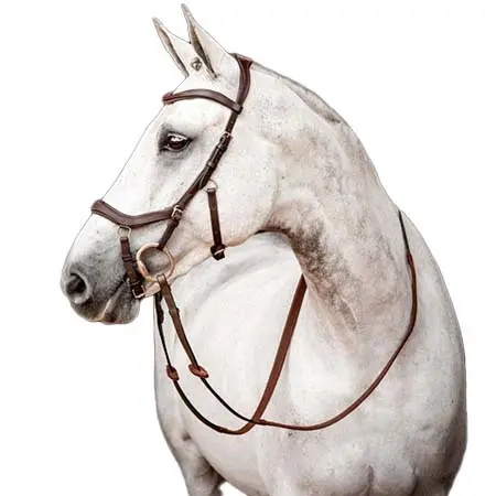 ホースウエア(Horseware) 乗馬 頭絡 ミクルム® 2 競技用ブライドル