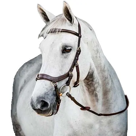ホースウエア(Horseware) 乗馬 頭絡 ミックレム® 2 マルチブライドル