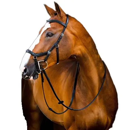ホースウエア(Horseware) 乗馬 頭絡 ミクレム® デラックス コンペティション ブライドル