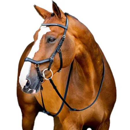 ホースウエア(Horseware) 乗馬 頭絡 ミクルム® 2 ディアマンテ コンペティション ブライドル