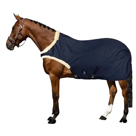 インペリアルライディング(Imperial Riding) 乗馬 馬着 レンジの馬用エクササイズラグ